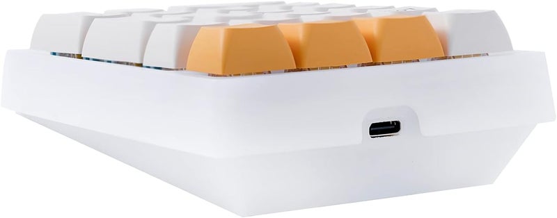 Boyi TD21 Hot Swap Numpad,21 Keys Mini Numpad Portable Keypad Bluetooth5.0/2.4G/Wired Number Pad Keyboard PBT Keycaps RGB Backlit Type-C Mini Keyboard (Honey Milk) - Image 4